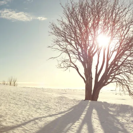 В Казахстане ожидается резкое похолодание в ночь на 10 и 11 марта