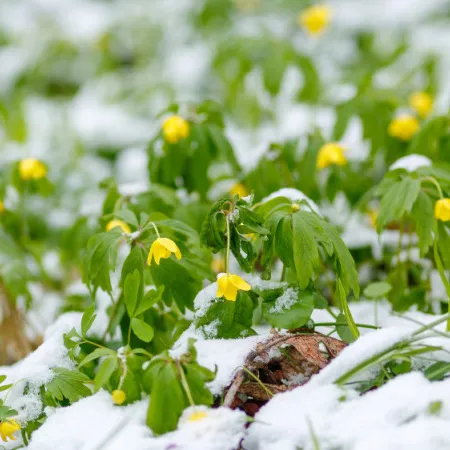 Мощный циклон обрушится на Казахстан 9 марта, прогноз на март 2026 года