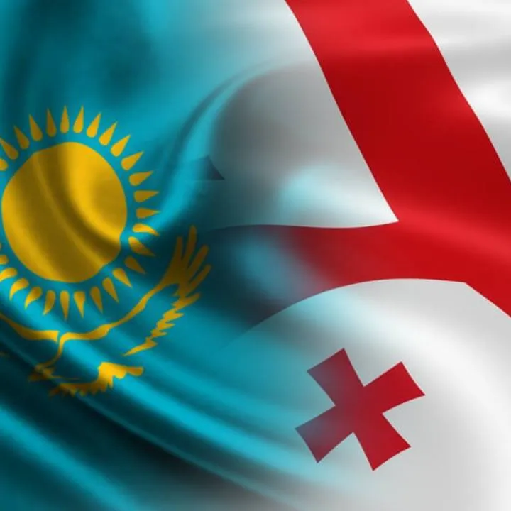 Сотрудничество МВД Казахстана и Грузии вышло на новый уровень с задержанием пяти разыскиваемых лиц