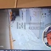 В Алматы курьер справил нужду в детскую коляску в подъезде